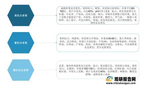 果行业分析报告-市场规模与未来趋势预测ag旗舰厅手机客户端2021年中国百香(图3)